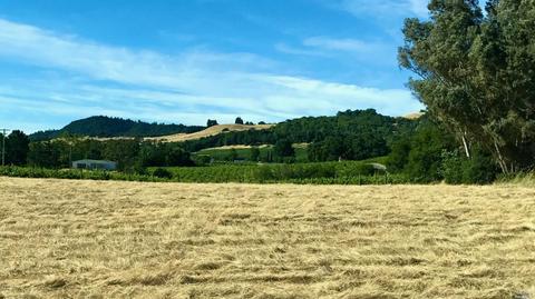 795 Red Tail Rd, Healdsburg, CA 95448 photo 1