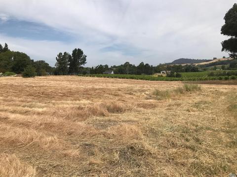 795 Red Tail Rd, Healdsburg, CA 95448 photo 4