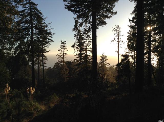 263 Lee Dr Timber Cove Ca 49 Photos Mls Movoto