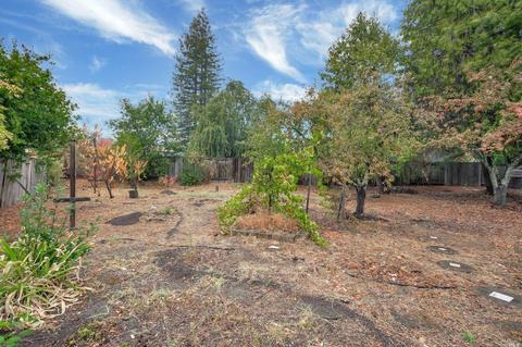 183 Barrio Way, Windsor, CA 95492 photo 38