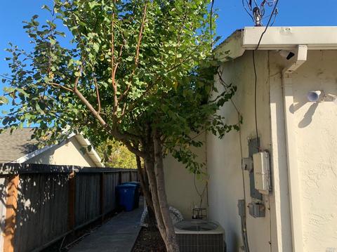 247 Dryden Dr, Vallejo, CA 94591 photo 27
