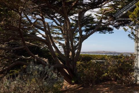 160 Starboard Ct, Bodega Bay, CA 94923 photo 43