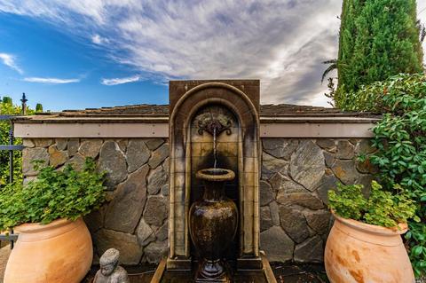 673 Limerick Ln, Healdsburg, CA 95448 photo 41