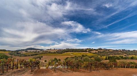 673 Limerick Ln, Healdsburg, CA 95448 photo 43