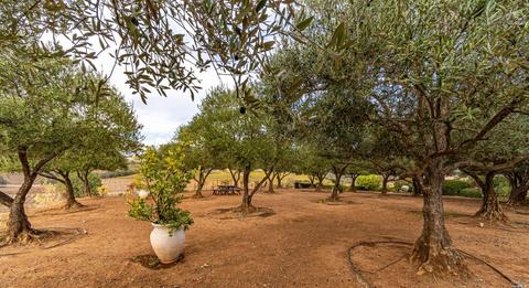 673 Limerick Ln, Healdsburg, CA 95448 photo 46