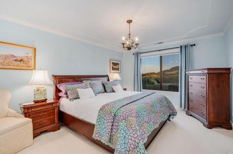 673 Limerick Ln, Healdsburg, CA 95448 photo 33