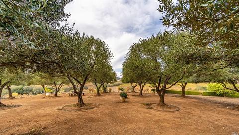673 Limerick Ln, Healdsburg, CA 95448 photo 44