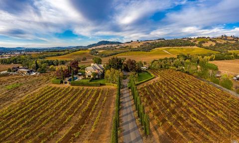 673 Limerick Ln, Healdsburg, CA 95448 photo 2