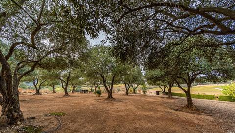 673 Limerick Ln, Healdsburg, CA 95448 photo 45