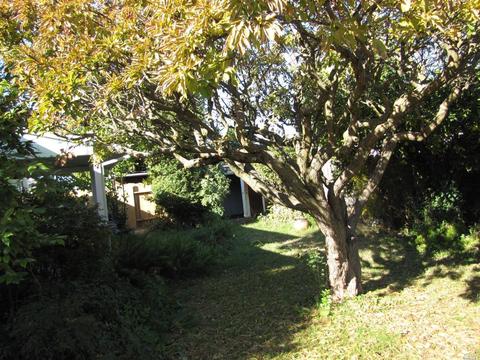 660 W D St S, Dixon, CA 95620 photo 23