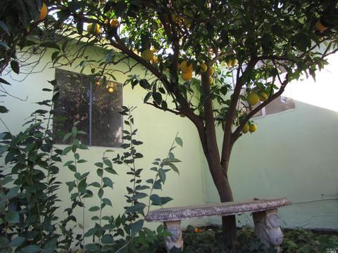 660 W D St S, Dixon, CA 95620 photo 22