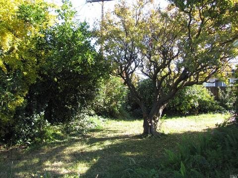 660 W D St S, Dixon, CA 95620 photo 21