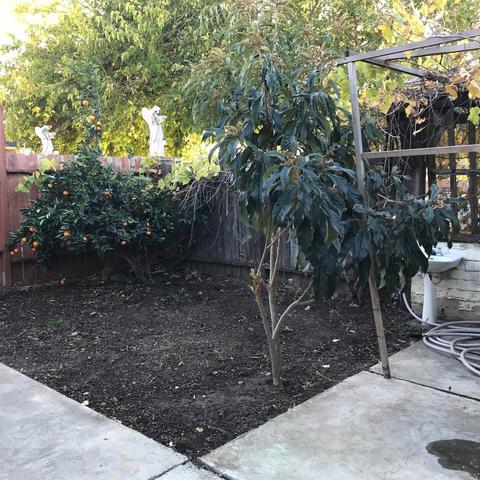 1106 5th St, Fairfield, CA 94533 photo 42