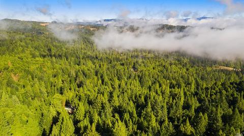 1816 Buckeye Rd, Willits, CA 95490 photo 35