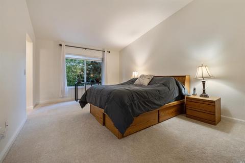 1282 Larkin Dr, Sonoma, CA 95476 photo 31