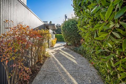 768 Montecillo Rd, San Rafael, CA 94903 photo 32