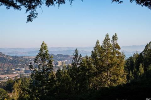 11 Phoenix Rd, Kentfield, CA 94904 photo 36