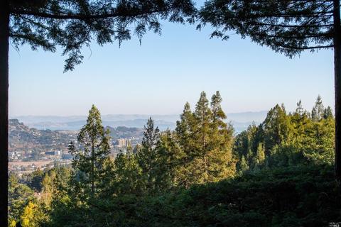 11 Phoenix Rd, Kentfield, CA 94904 photo 4