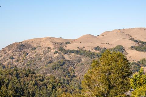 11 Phoenix Rd, Kentfield, CA 94904 photo 40