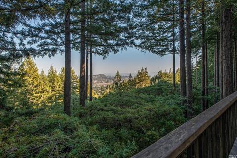 11 Phoenix Rd, Kentfield, CA 94904 photo 30