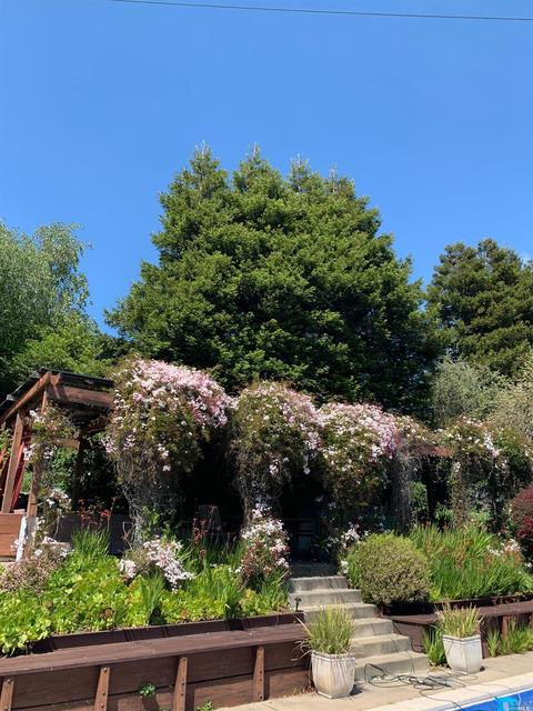 1109 Western Ave, Mill Valley, CA 94941 photo 32