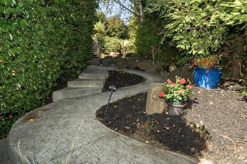 1109 Western Ave, Mill Valley, CA 94941 photo 29