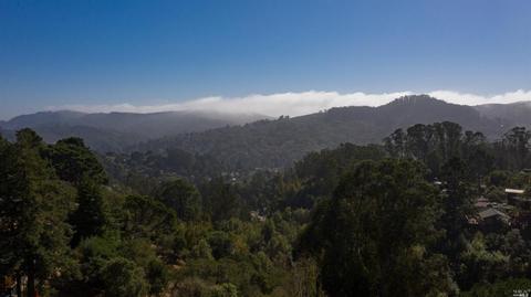 1109 Western Ave, Mill Valley, CA 94941 photo 47