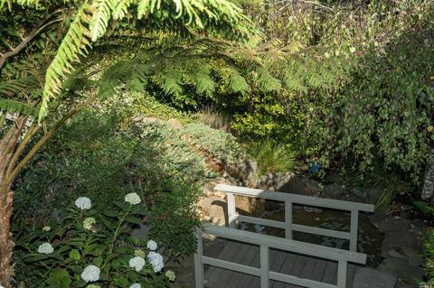 1109 Western Ave, Mill Valley, CA 94941 photo 27