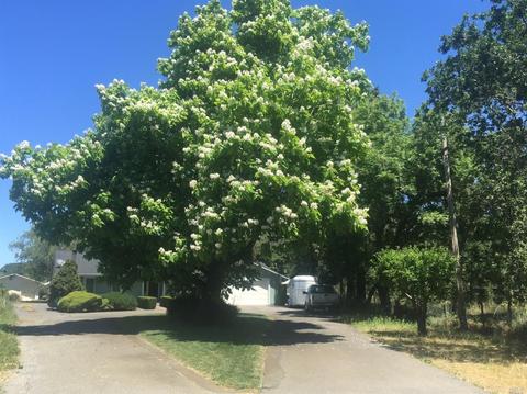 7501 Derby Ln, Cotati, CA 94931 photo 48
