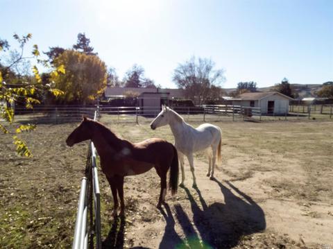 7501 Derby Ln, Cotati, CA 94931 photo 44