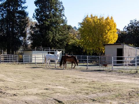 7501 Derby Ln, Cotati, CA 94931 photo 45
