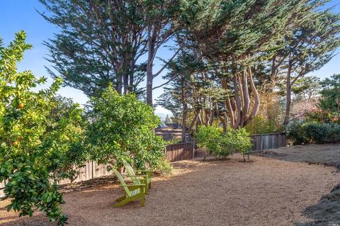 131 Yale Ave, Mill Valley, CA 94941 photo 23
