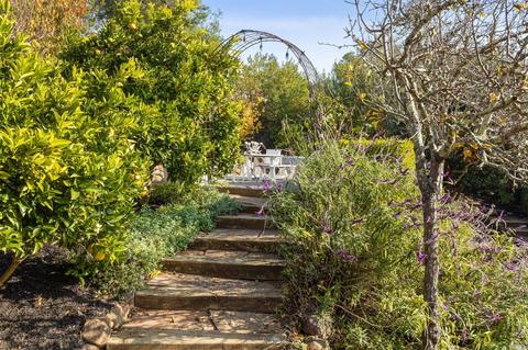 540 Northern Ave, Mill Valley, CA 94941 photo 41
