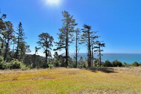 20801 Highway 1 Hwy, Jenner, CA 95450 photo 14