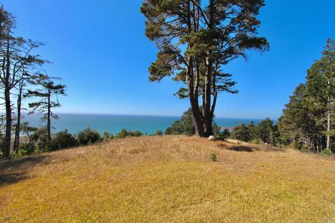 20801 Highway 1 Hwy, Jenner, CA 95450 photo 15