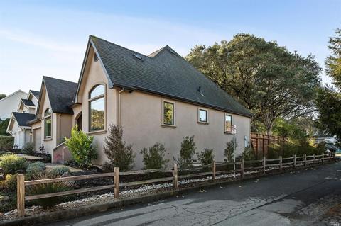 1 Ricci Ct, Petaluma, CA 94952 photo 42