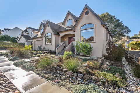 1 Ricci Ct, Petaluma, CA 94952 photo 43