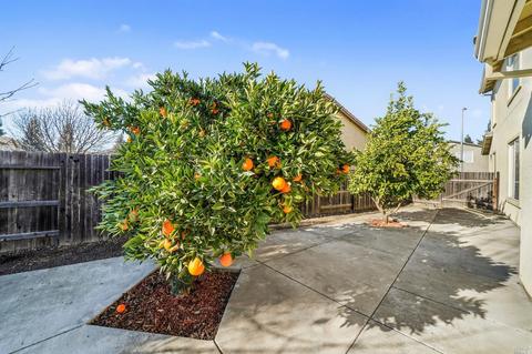 860 Bristol Ct, Dixon, CA 95620 photo 50