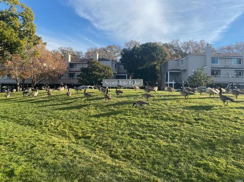 68 Margarita Ter, Novato, CA 94947 photo 34