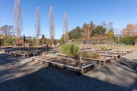 1145 Hedgeside Ave, Napa, CA 94558 photo 45