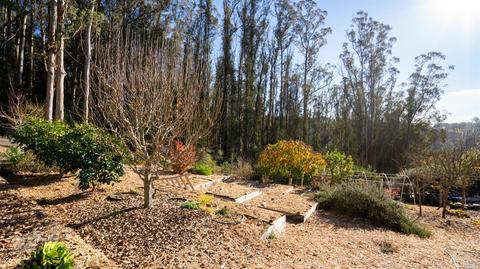 3700 Burnside Rd, Sebastopol, CA 95472 photo 44