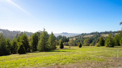 3700 Burnside Rd, Sebastopol, CA 95472 photo 50