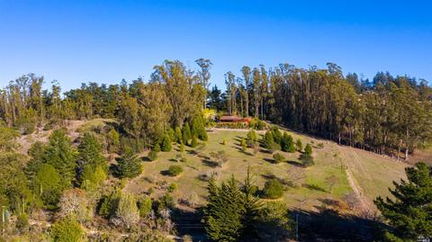 3700 Burnside Rd, Sebastopol, CA 95472 photo 56