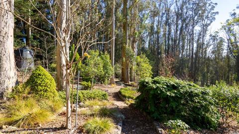 3700 Burnside Rd, Sebastopol, CA 95472 photo 47