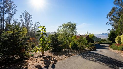 3700 Burnside Rd, Sebastopol, CA 95472 photo 53