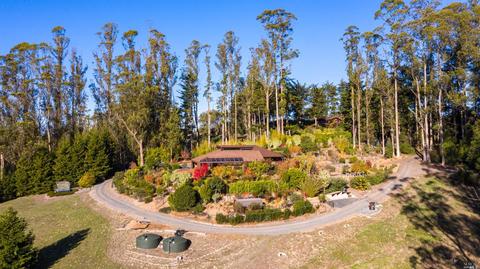 3700 Burnside Rd, Sebastopol, CA 95472 photo 55
