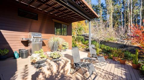3700 Burnside Rd, Sebastopol, CA 95472 photo 34
