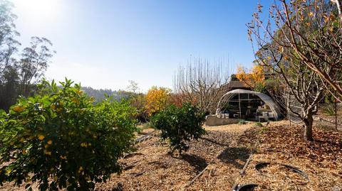 3700 Burnside Rd, Sebastopol, CA 95472 photo 45