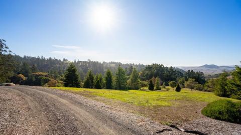 3700 Burnside Rd, Sebastopol, CA 95472 photo 51