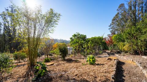 3700 Burnside Rd, Sebastopol, CA 95472 photo 46